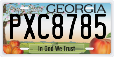 GA license plate PXC8785