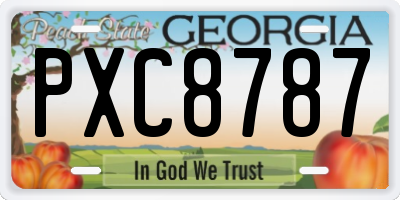 GA license plate PXC8787