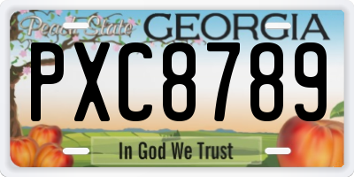 GA license plate PXC8789