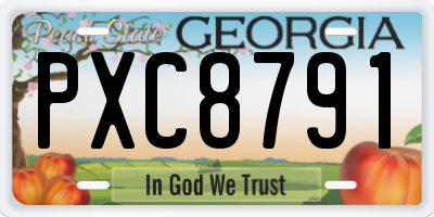 GA license plate PXC8791