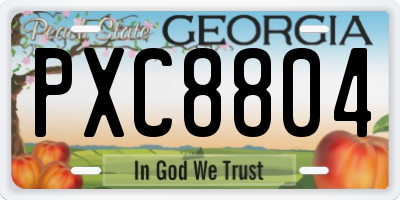GA license plate PXC8804