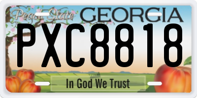GA license plate PXC8818