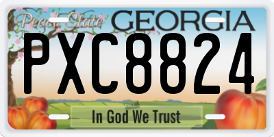 GA license plate PXC8824
