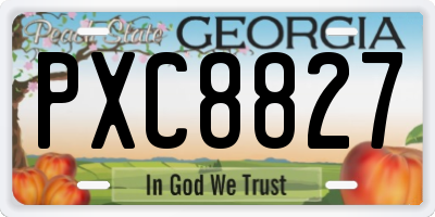 GA license plate PXC8827