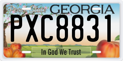 GA license plate PXC8831