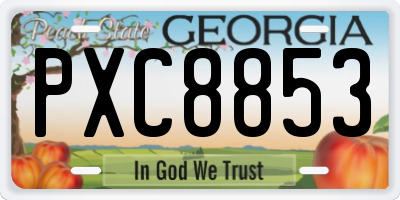 GA license plate PXC8853