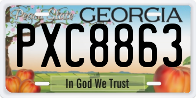 GA license plate PXC8863