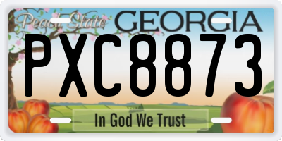 GA license plate PXC8873