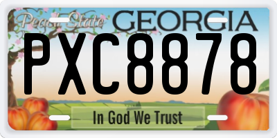 GA license plate PXC8878