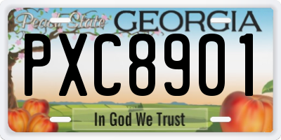 GA license plate PXC8901