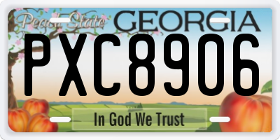 GA license plate PXC8906