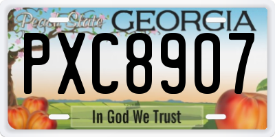 GA license plate PXC8907