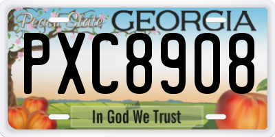 GA license plate PXC8908