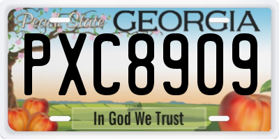 GA license plate PXC8909