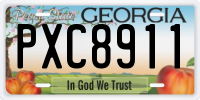 GA license plate PXC8911