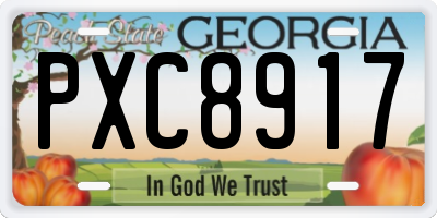GA license plate PXC8917