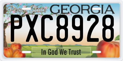 GA license plate PXC8928