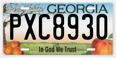 GA license plate PXC8930