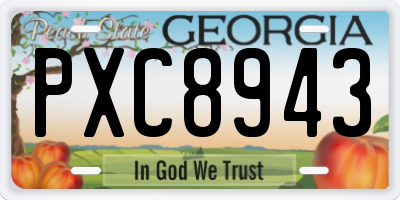 GA license plate PXC8943