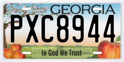 GA license plate PXC8944