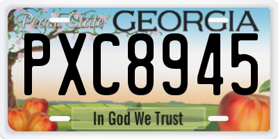 GA license plate PXC8945