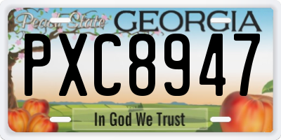 GA license plate PXC8947