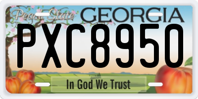 GA license plate PXC8950