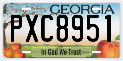 GA license plate PXC8951