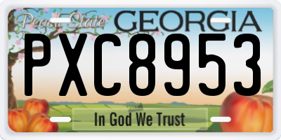 GA license plate PXC8953