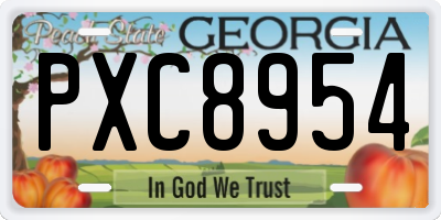 GA license plate PXC8954