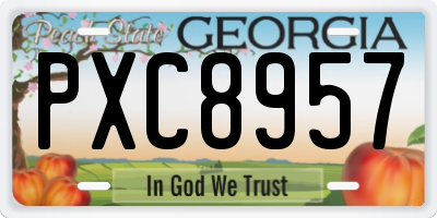 GA license plate PXC8957