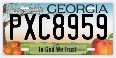 GA license plate PXC8959