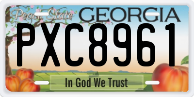 GA license plate PXC8961