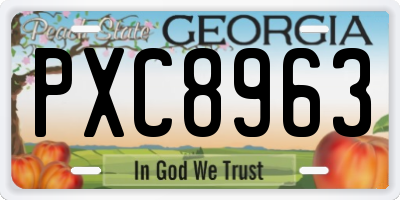 GA license plate PXC8963