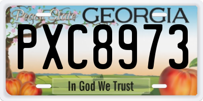GA license plate PXC8973