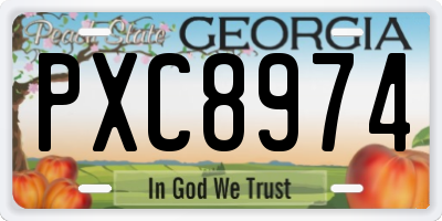 GA license plate PXC8974