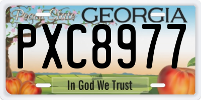 GA license plate PXC8977