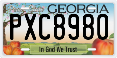 GA license plate PXC8980