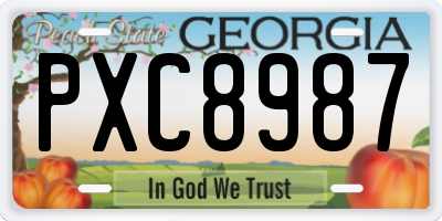 GA license plate PXC8987
