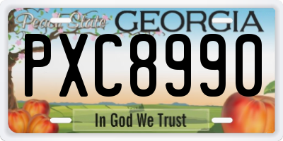 GA license plate PXC8990