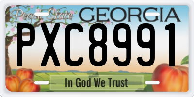 GA license plate PXC8991