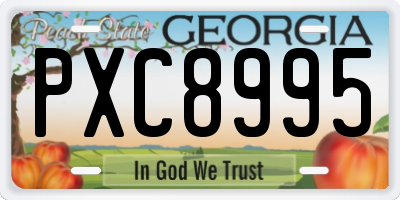GA license plate PXC8995