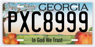 GA license plate PXC8999