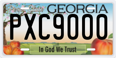 GA license plate PXC9000