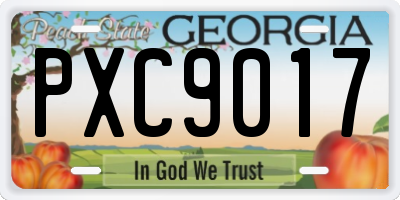 GA license plate PXC9017