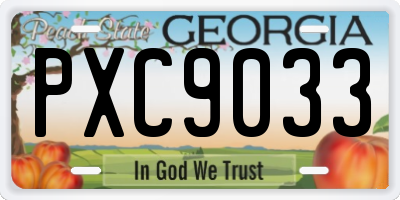 GA license plate PXC9033