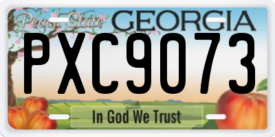 GA license plate PXC9073