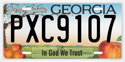 GA license plate PXC9107