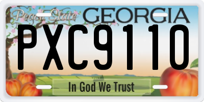 GA license plate PXC9110