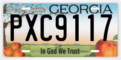 GA license plate PXC9117